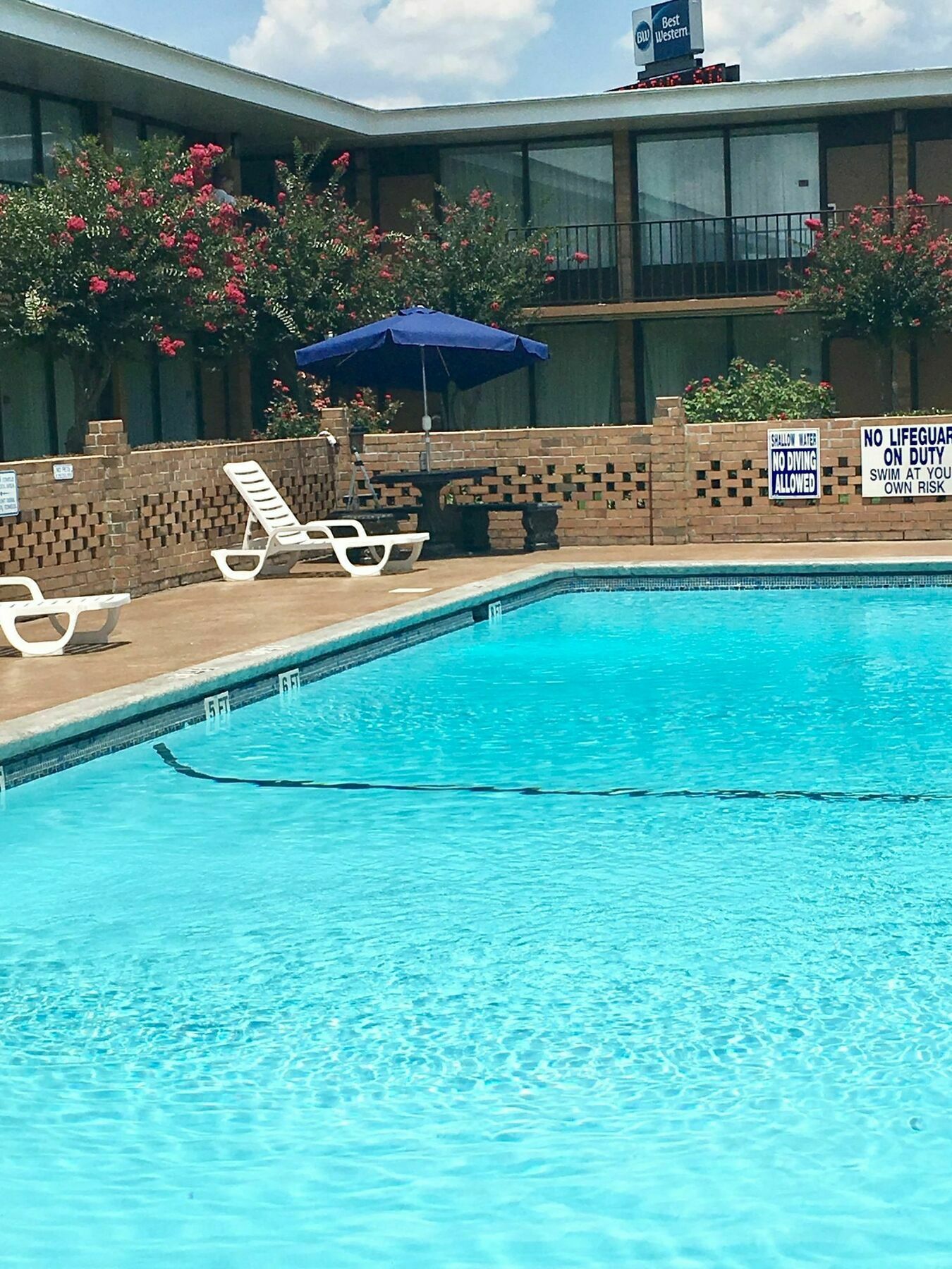 Best Western Greenville Airport Extérieur photo